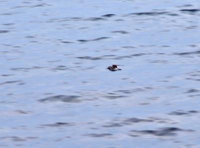 Прикрепленное изображение: zb52.jpg